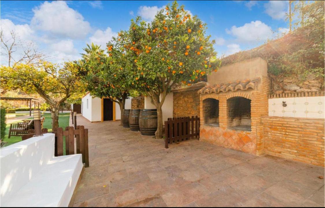 Maison d'hôtes Cortijo Andaluz Dona Adela à Almería Extérieur photo