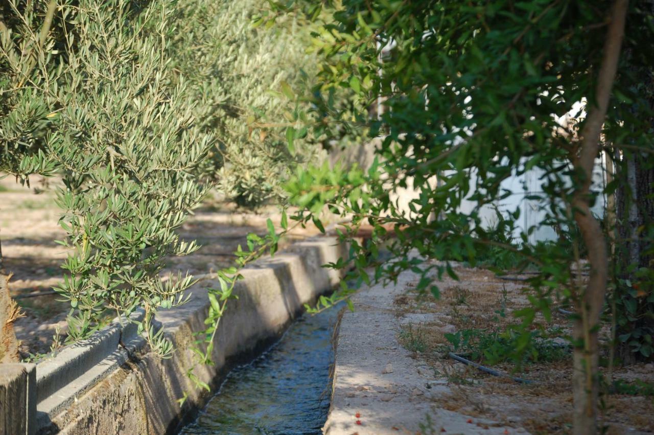 Maison d'hôtes Cortijo Andaluz Dona Adela à Almería Extérieur photo